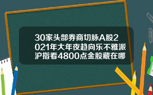 30家头部券商切脉A股2021年大年夜趋向乐不雅派沪指看4800点金股藏在哪