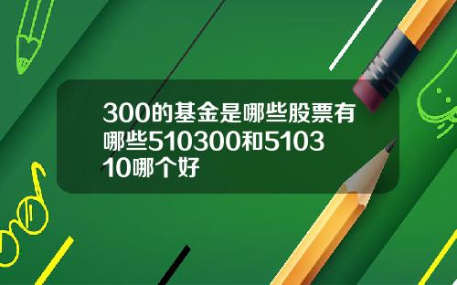 300的基金是哪些股票有哪些510300和510310哪个好