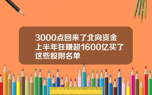 3000点回来了北向资金上半年狂赚超1600亿买了这些股附名单