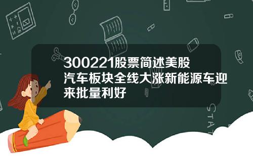 300221股票简述美股汽车板块全线大涨新能源车迎来批量利好