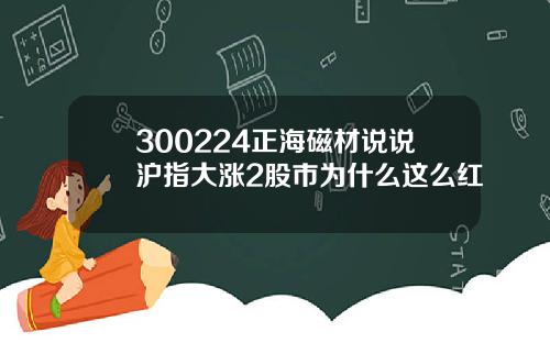 300224正海磁材说说沪指大涨2股市为什么这么红