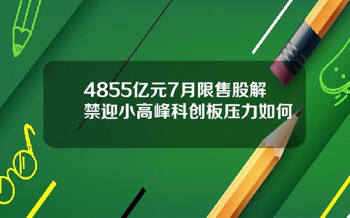 4855亿元7月限售股解禁迎小高峰科创板压力如何