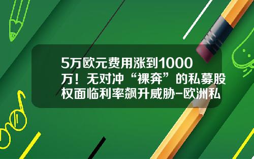 5万欧元费用涨到1000万！无对冲“裸奔”的私募股权面临利率飙升威胁-欧洲私募基金