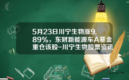 5月23日川宁生物涨9.89%，东财新能源车A基金重仓该股-川宁生物股票资讯【新闻】