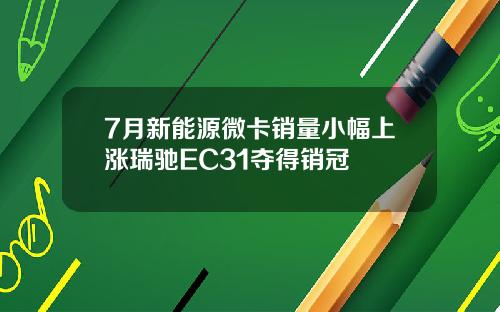 7月新能源微卡销量小幅上涨瑞驰EC31夺得销冠