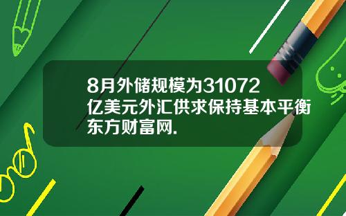 8月外储规模为31072亿美元外汇供求保持基本平衡东方财富网.