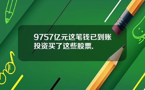 9757亿元这笔钱已到账投资买了这些股票.