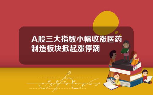 A股三大指数小幅收涨医药制造板块掀起涨停潮