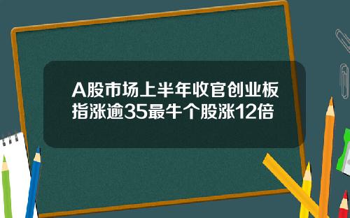 A股市场上半年收官创业板指涨逾35最牛个股涨12倍