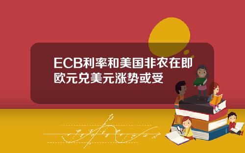 ECB利率和美国非农在即欧元兑美元涨势或受