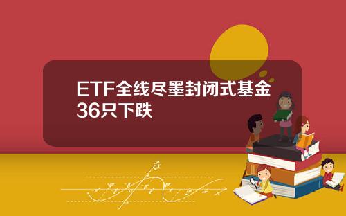 ETF全线尽墨封闭式基金36只下跌