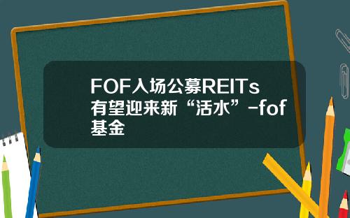 FOF入场公募REITs有望迎来新“活水”-fof基金