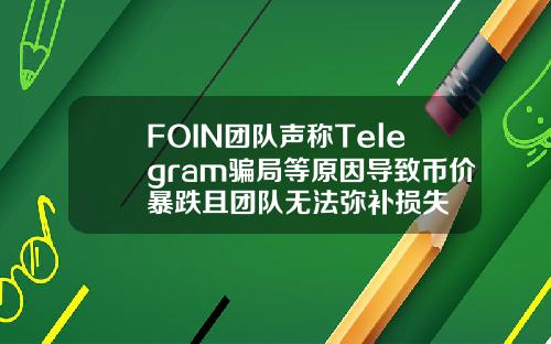 FOIN团队声称Telegram骗局等原因导致币价暴跌且团队无法弥补损失