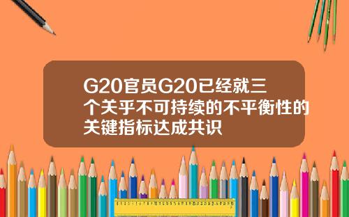 G20官员G20已经就三个关乎不可持续的不平衡性的关键指标达成共识