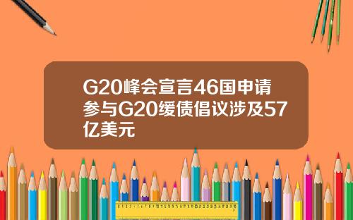 G20峰会宣言46国申请参与G20缓债倡议涉及57亿美元