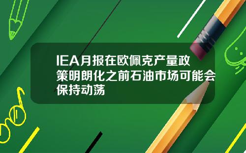 IEA月报在欧佩克产量政策明朗化之前石油市场可能会保持动荡