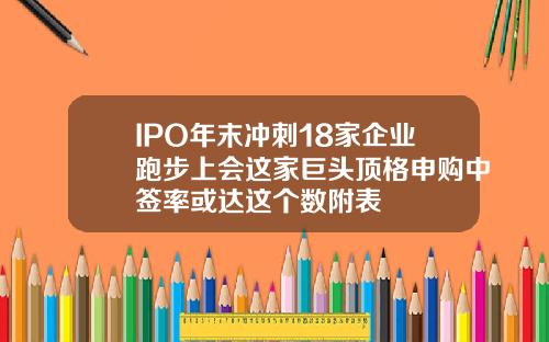 IPO年末冲刺18家企业跑步上会这家巨头顶格申购中签率或达这个数附表