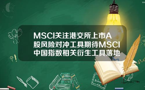 MSCI关注港交所上市A股风险对冲工具期待MSCI中国指数相关衍生工具落地