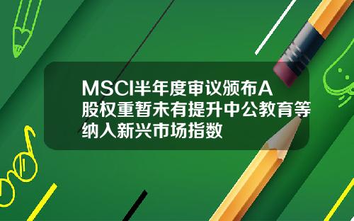 MSCI半年度审议颁布A股权重暂未有提升中公教育等纳入新兴市场指数