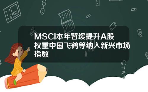 MSCI本年暂缓提升A股权重中国飞鹤等纳入新兴市场指数