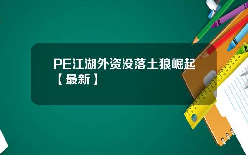 PE江湖外资没落土狼崛起【最新】