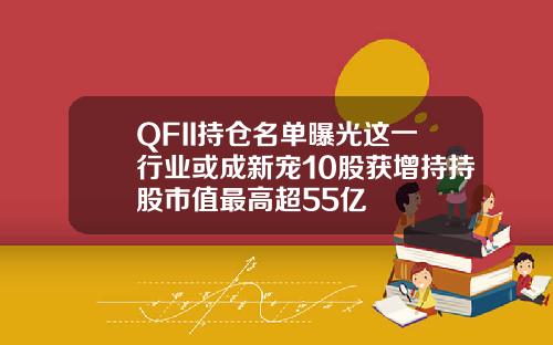 QFII持仓名单曝光这一行业或成新宠10股获增持持股市值最高超55亿