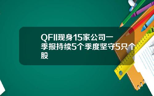 QFII现身15家公司一季报持续5个季度坚守5只个股