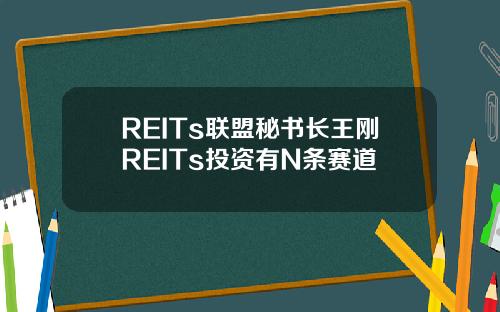 REITs联盟秘书长王刚REITs投资有N条赛道