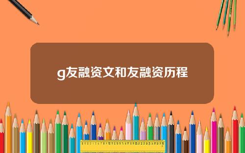 g友融资文和友融资历程