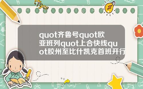 quot齐鲁号quot欧亚班列quot上合快线quot胶州至比什凯克首班开行