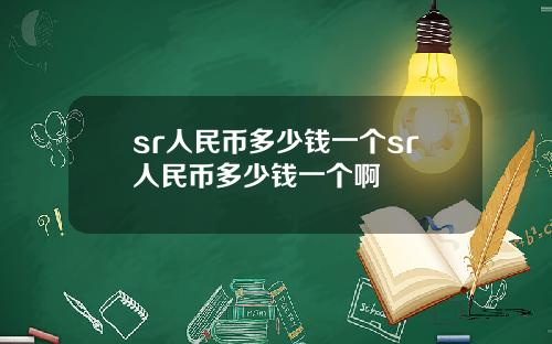 sr人民币多少钱一个sr人民币多少钱一个啊