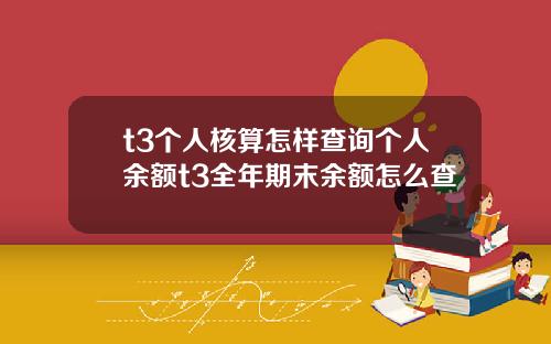 t3个人核算怎样查询个人余额t3全年期末余额怎么查
