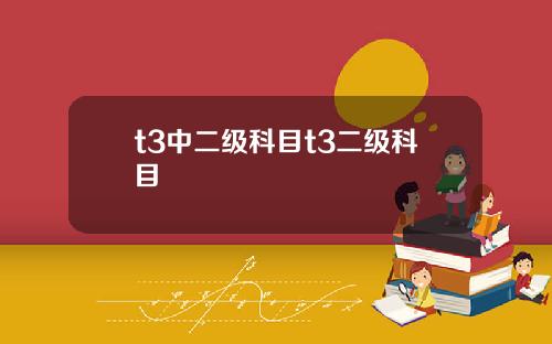 t3中二级科目t3二级科目