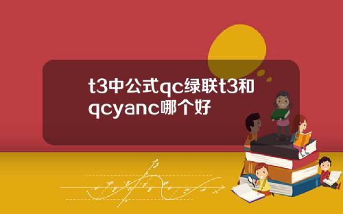 t3中公式qc绿联t3和qcyanc哪个好