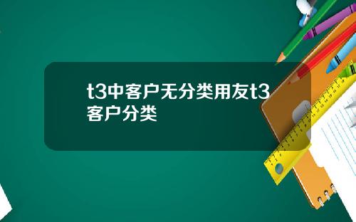 t3中客户无分类用友t3客户分类