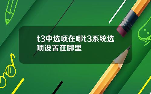 t3中选项在哪t3系统选项设置在哪里