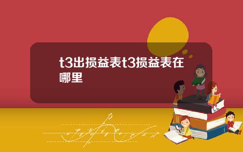 t3出损益表t3损益表在哪里