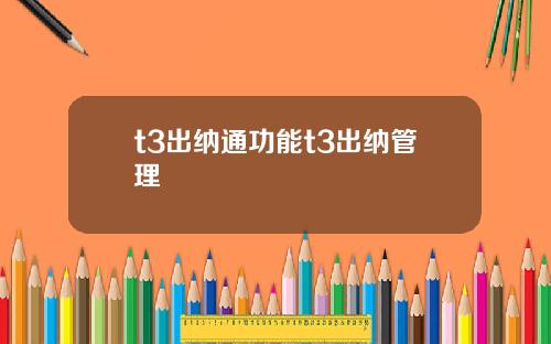 t3出纳通功能t3出纳管理