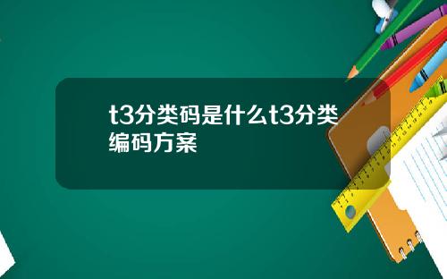 t3分类码是什么t3分类编码方案