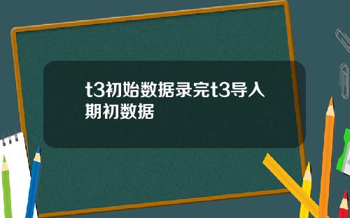 t3初始数据录完t3导入期初数据