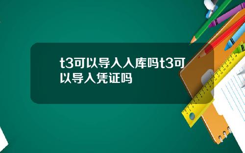 t3可以导入入库吗t3可以导入凭证吗