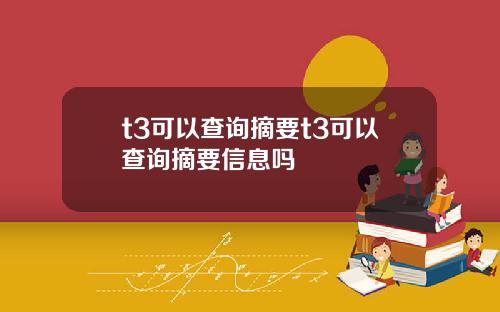 t3可以查询摘要t3可以查询摘要信息吗