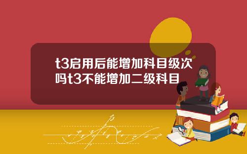 t3启用后能增加科目级次吗t3不能增加二级科目