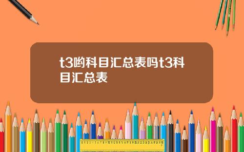 t3哟科目汇总表吗t3科目汇总表