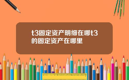 t3固定资产明细在哪t3的固定资产在哪里