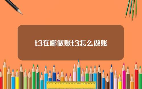 t3在哪做账t3怎么做账
