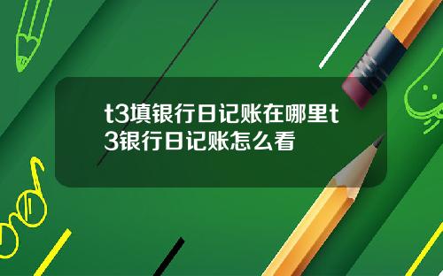 t3填银行日记账在哪里t3银行日记账怎么看