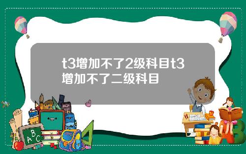 t3增加不了2级科目t3增加不了二级科目