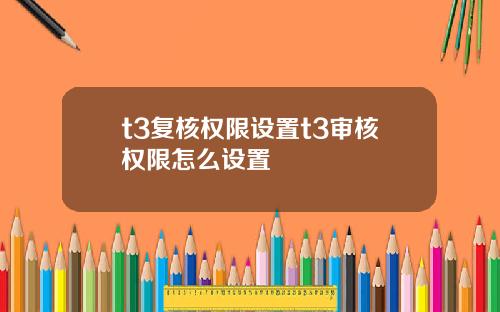 t3复核权限设置t3审核权限怎么设置
