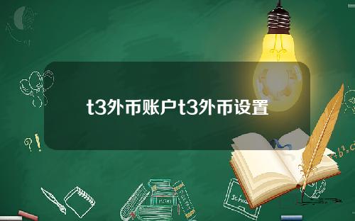 t3外币账户t3外币设置
